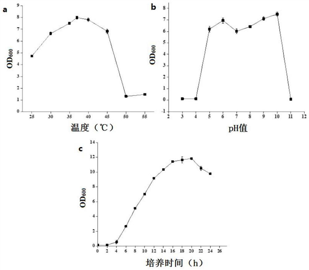 Method for producing chitosanase by using bacteria