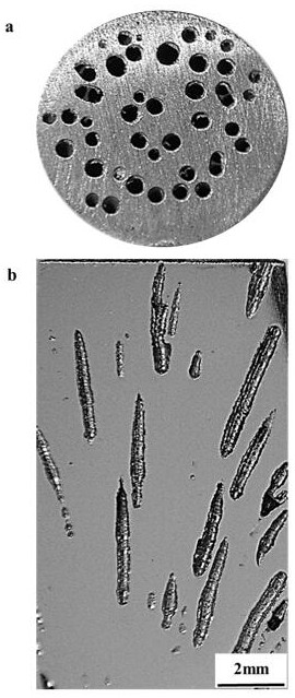 Preparation method of steel-based lotus-root-shaped porous material based on induction suspension zone melting