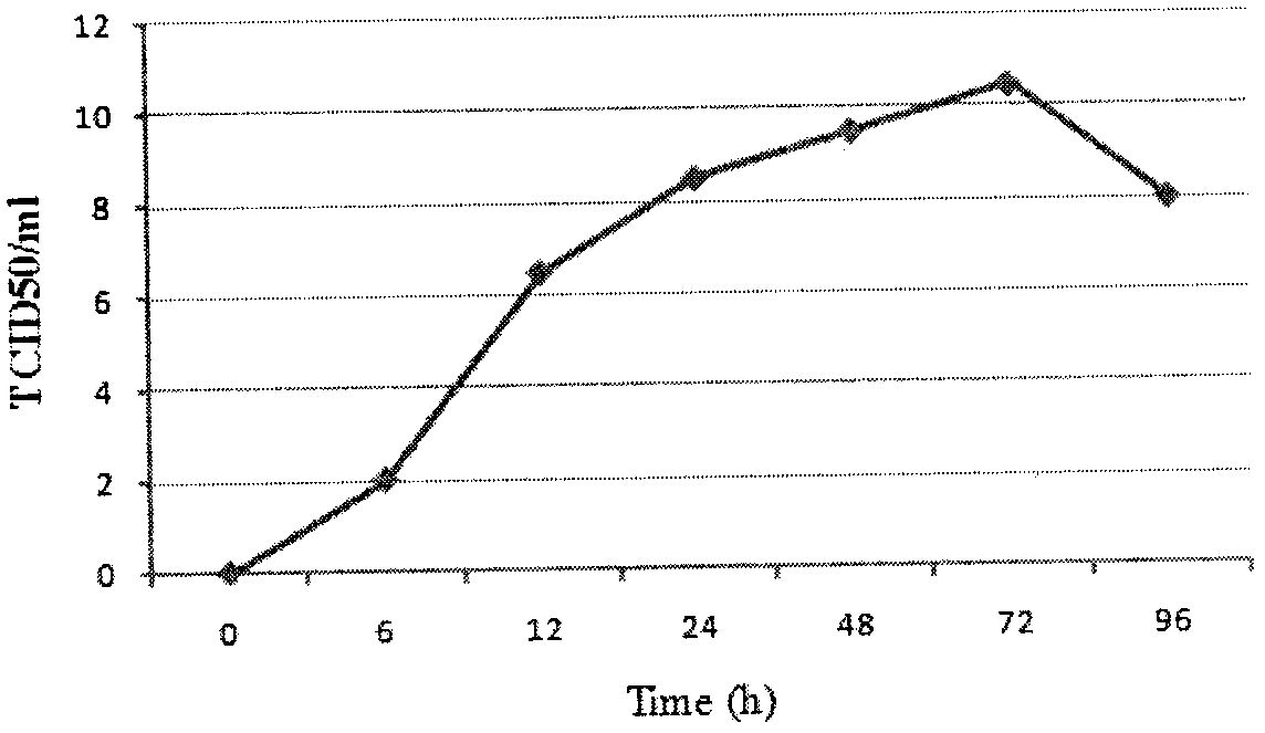 Bovine parainfluenza virus pbiv3-b strain and its application