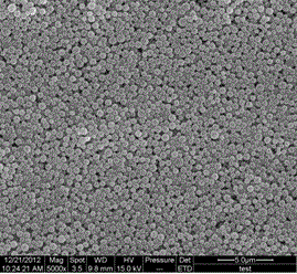 Styrene modified polyvinyl acetate emulsion and preparation method