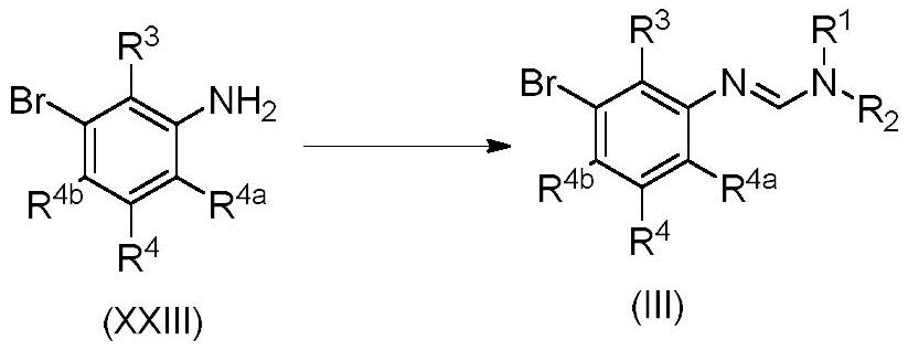 3-substituted phenylamidine compounds, preparation and use thereof