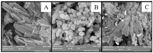 Silver chromate/sulfur-doped carbon nitride z-type photocatalyst and preparation method thereof