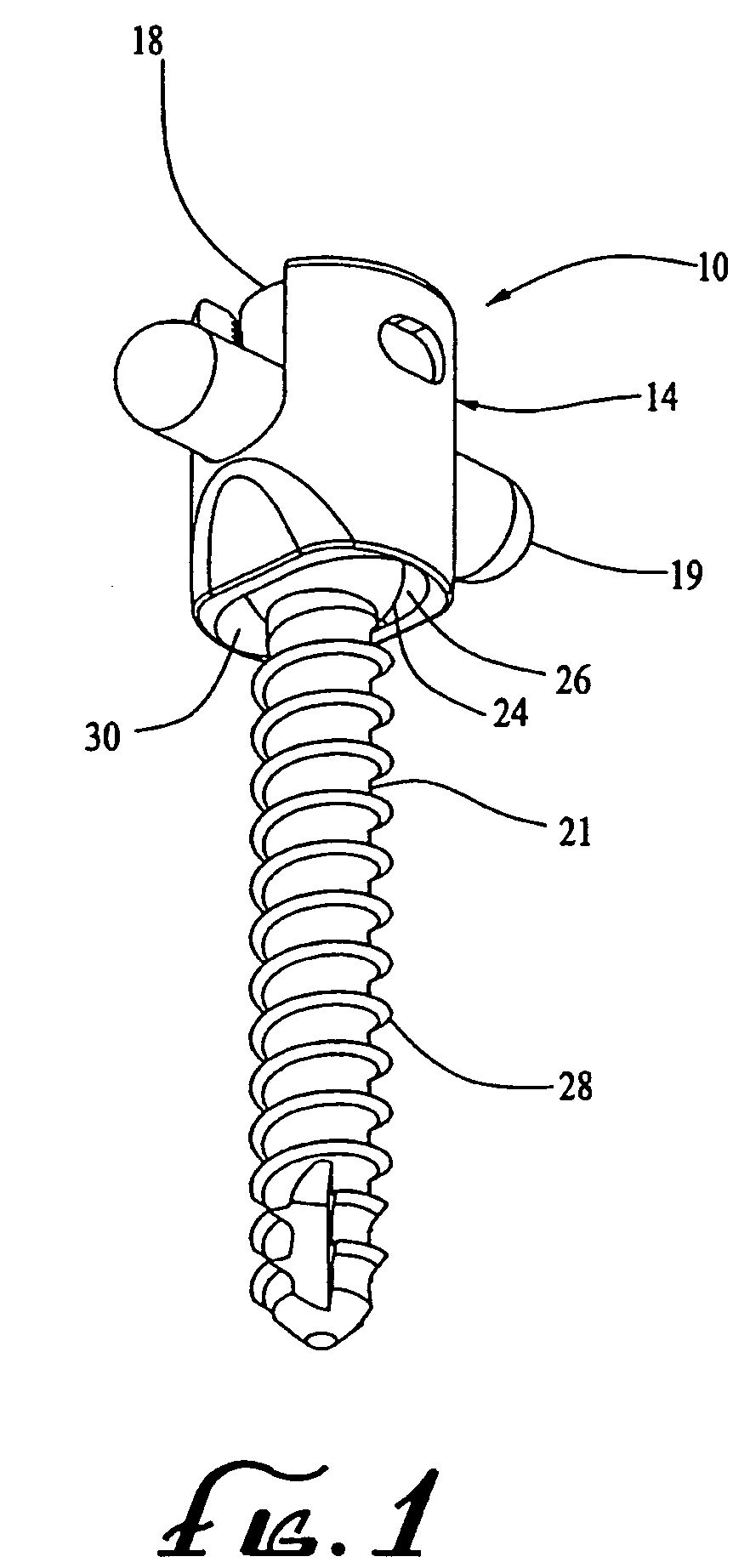 Variable angle spinal screw assembly