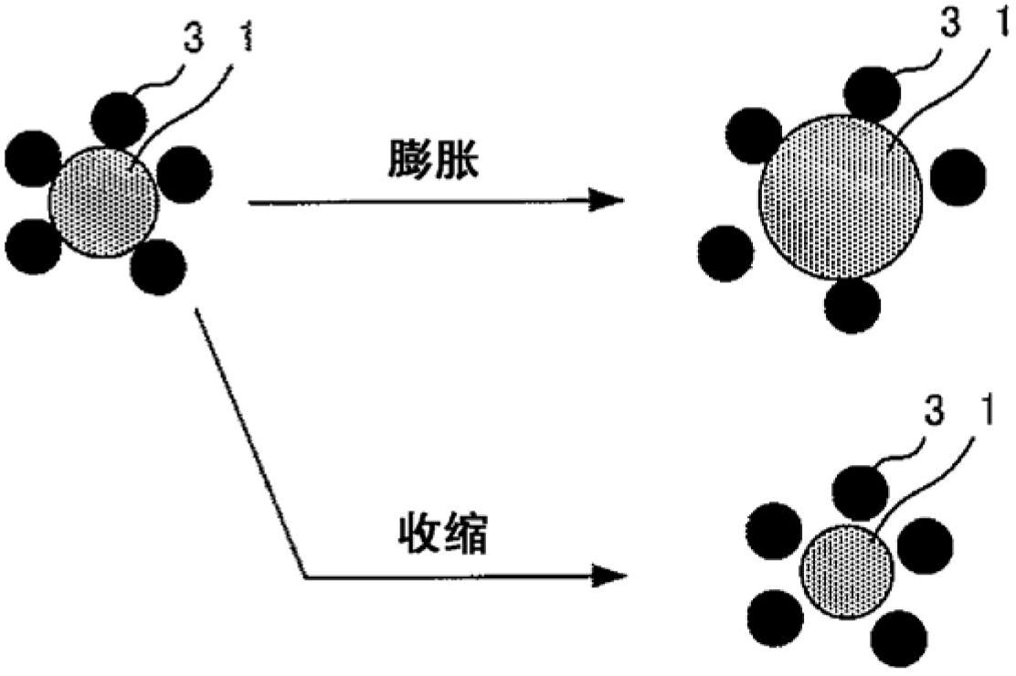 Normal-temperature molten salt, electrode, cell, agent for preventing charge-up, and method for observing sample