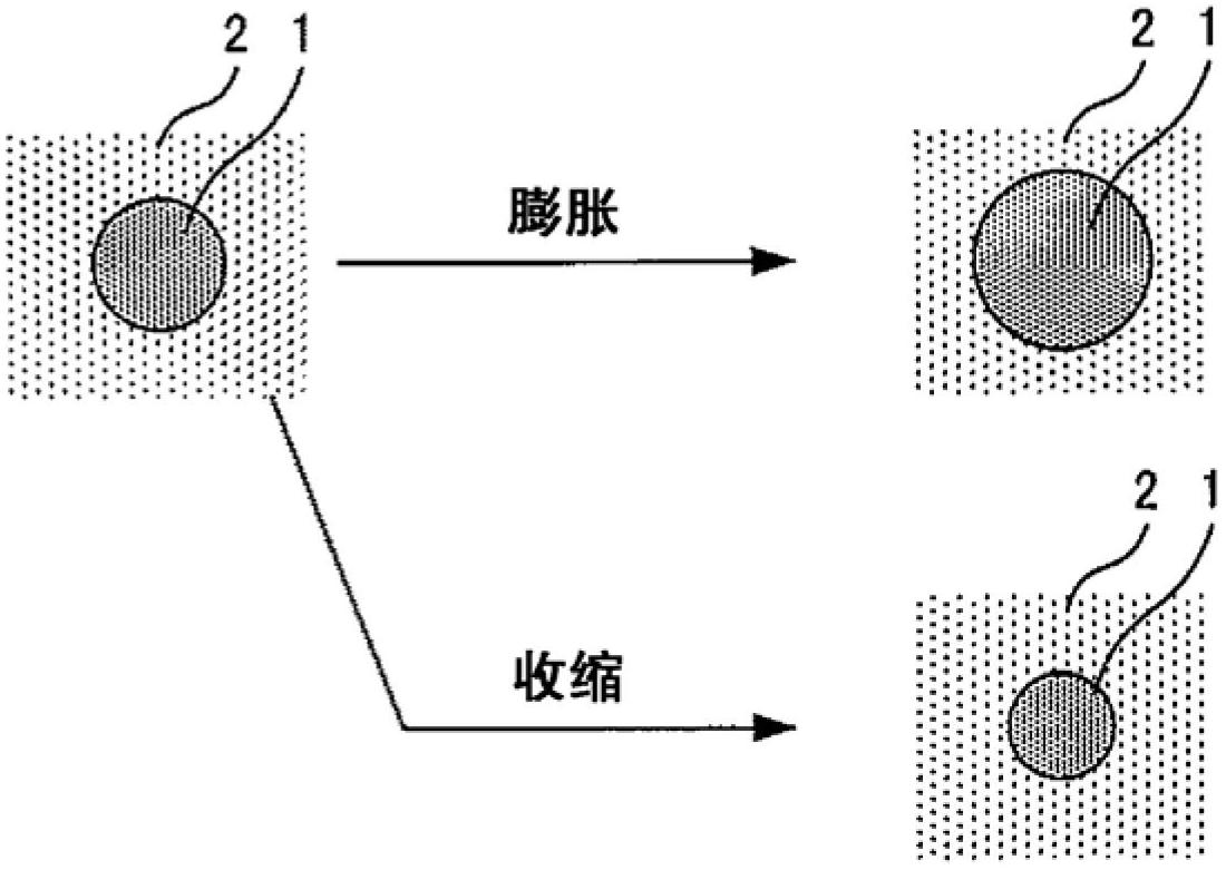 Normal-temperature molten salt, electrode, cell, agent for preventing charge-up, and method for observing sample