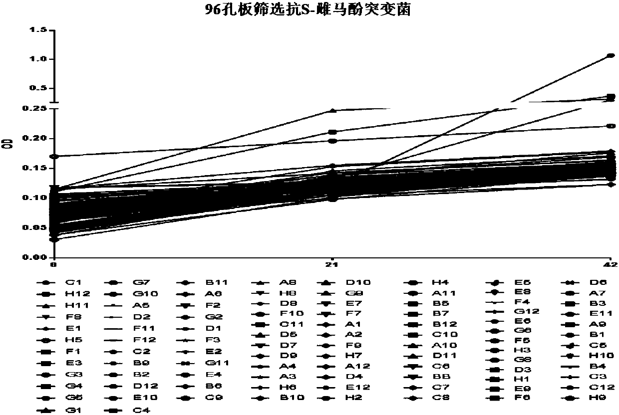 Escherichia coli mutant strain with S-equol resistance and application