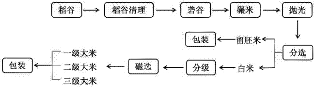 Co-production machining method of germ-remaining rice and multi-grade rice