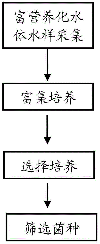 Preparation method for biological agent