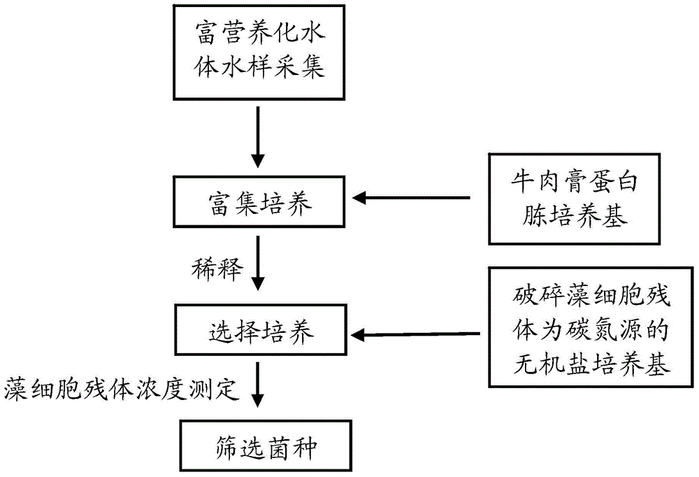 Preparation method for biological agent