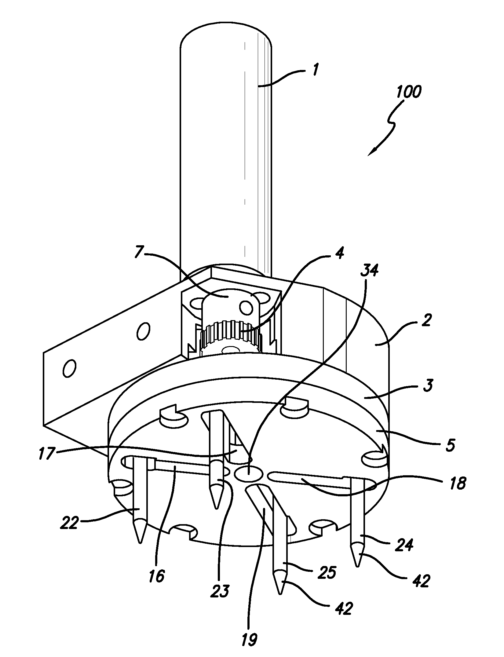 Gripper Apparatus and Method for Containers of Different Sizes