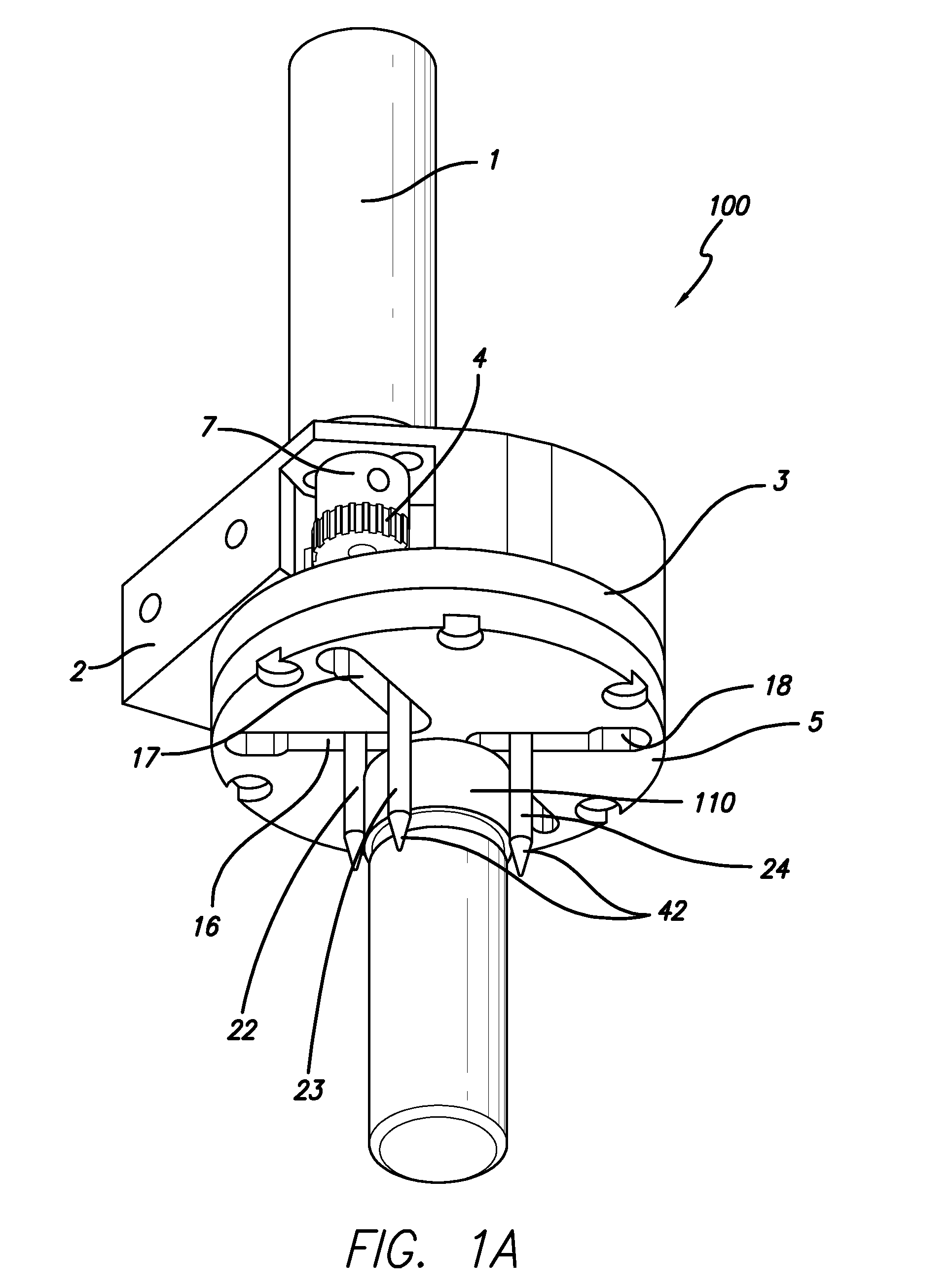 Gripper Apparatus and Method for Containers of Different Sizes