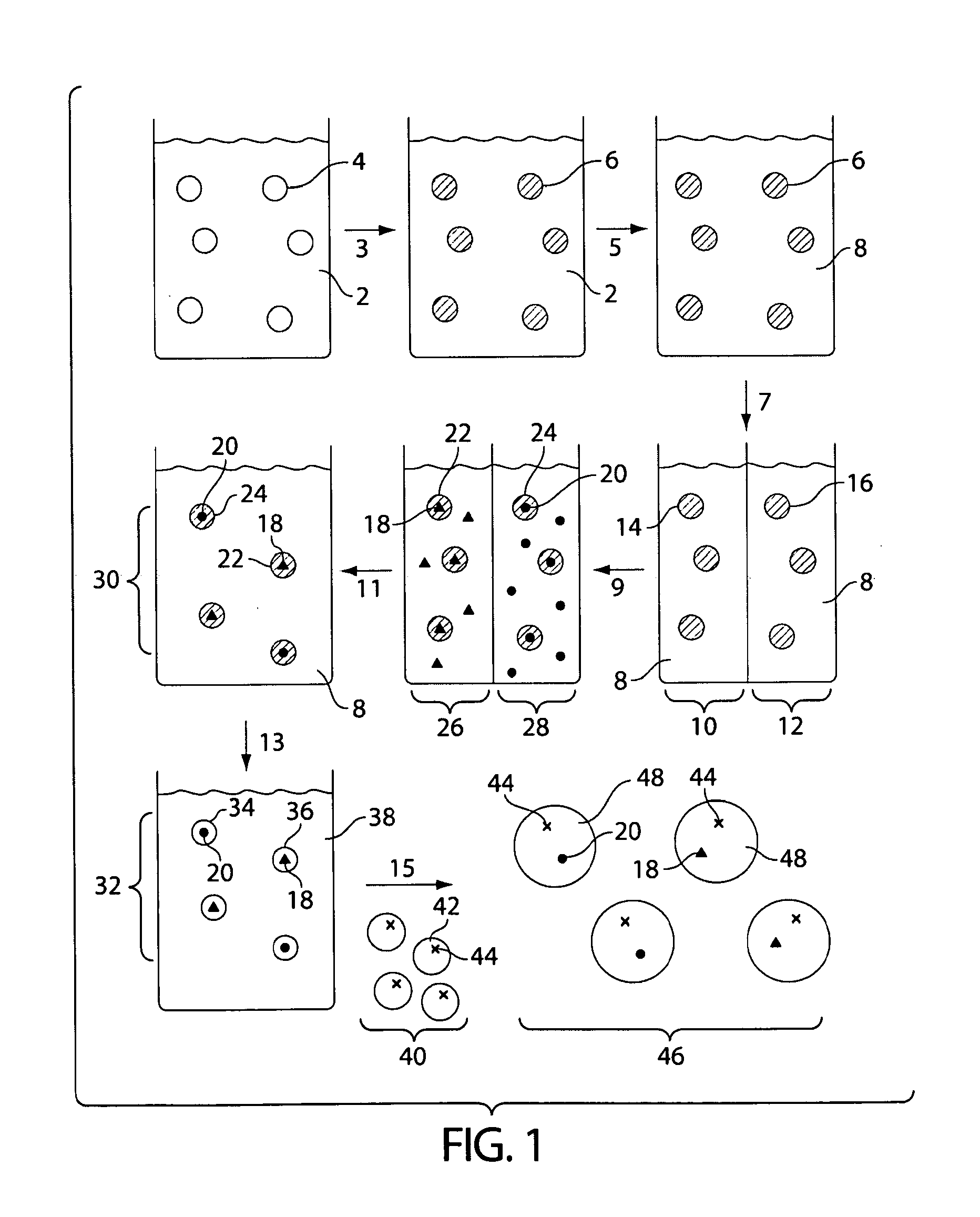 Creation of libraries of droplets and related species