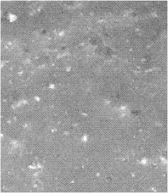 Electrode coating and preparation method thereof