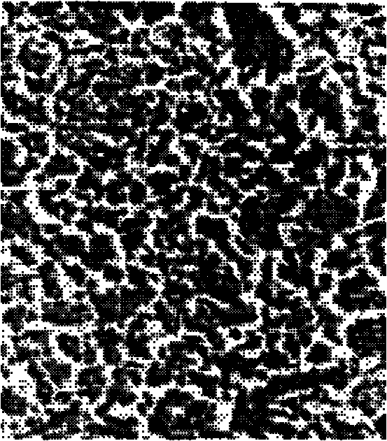 Electrode coating and preparation method thereof