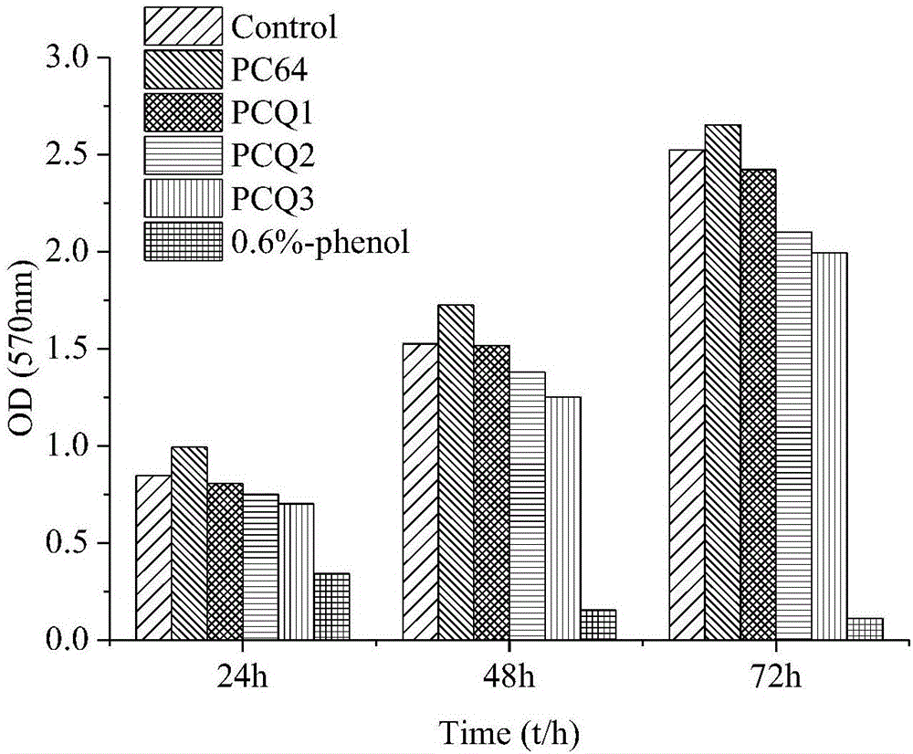 Polycaprolactone/collagen/quaternary ammonium salt electrospun composite fiber membrane and method for preparing same