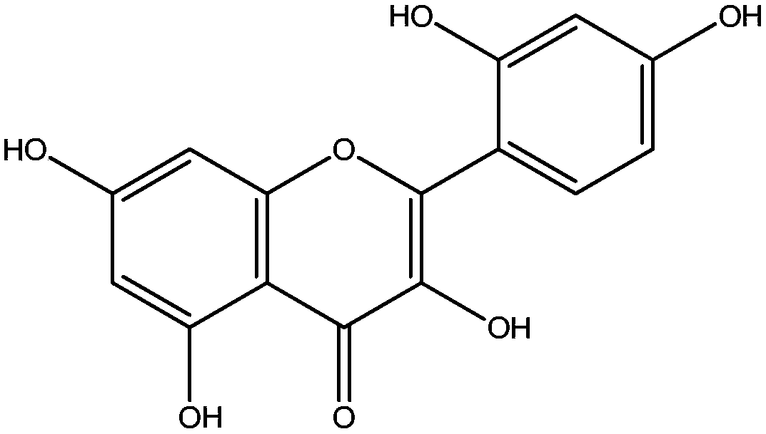 Application of morin in preparing fruit preservative