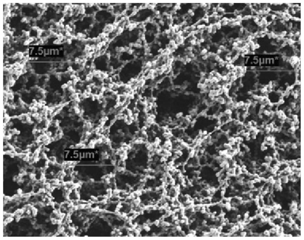 Preparation method of nitrocellulose chromatographic membrane for rapid immunoassay, nitrocellulose chromatographic membrane and application thereof