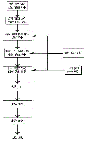 Method for utilizing ganoderma lucidum to convert grape skin to produce functional food