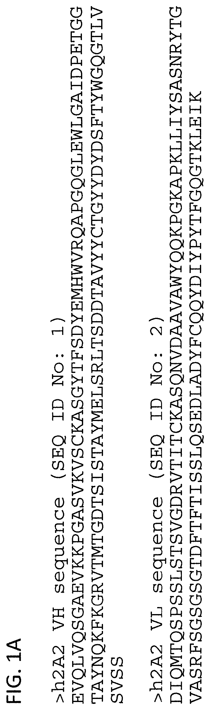 ROR1-specific chimeric antigen receptors (CAR) with humanized targeting domains