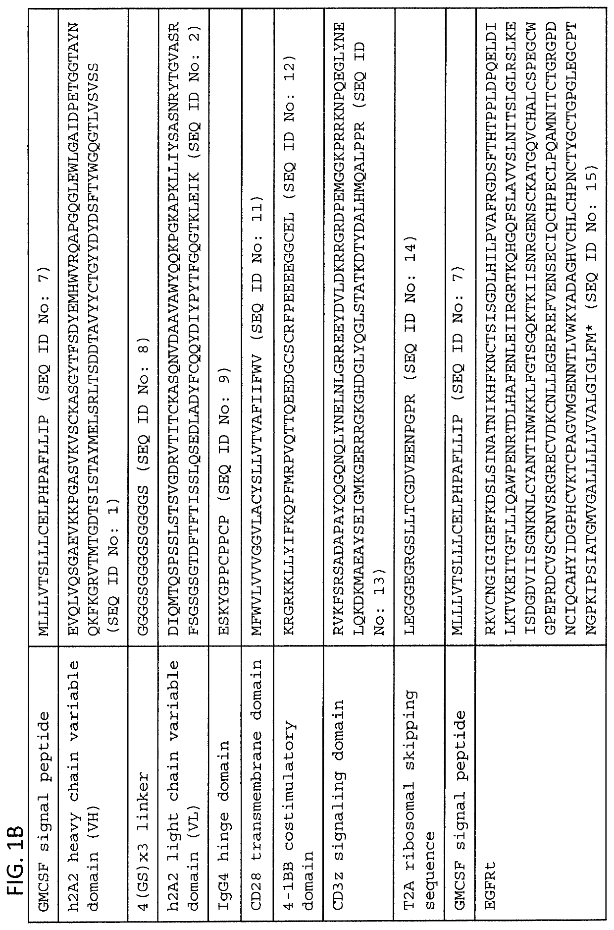 ROR1-specific chimeric antigen receptors (CAR) with humanized targeting domains