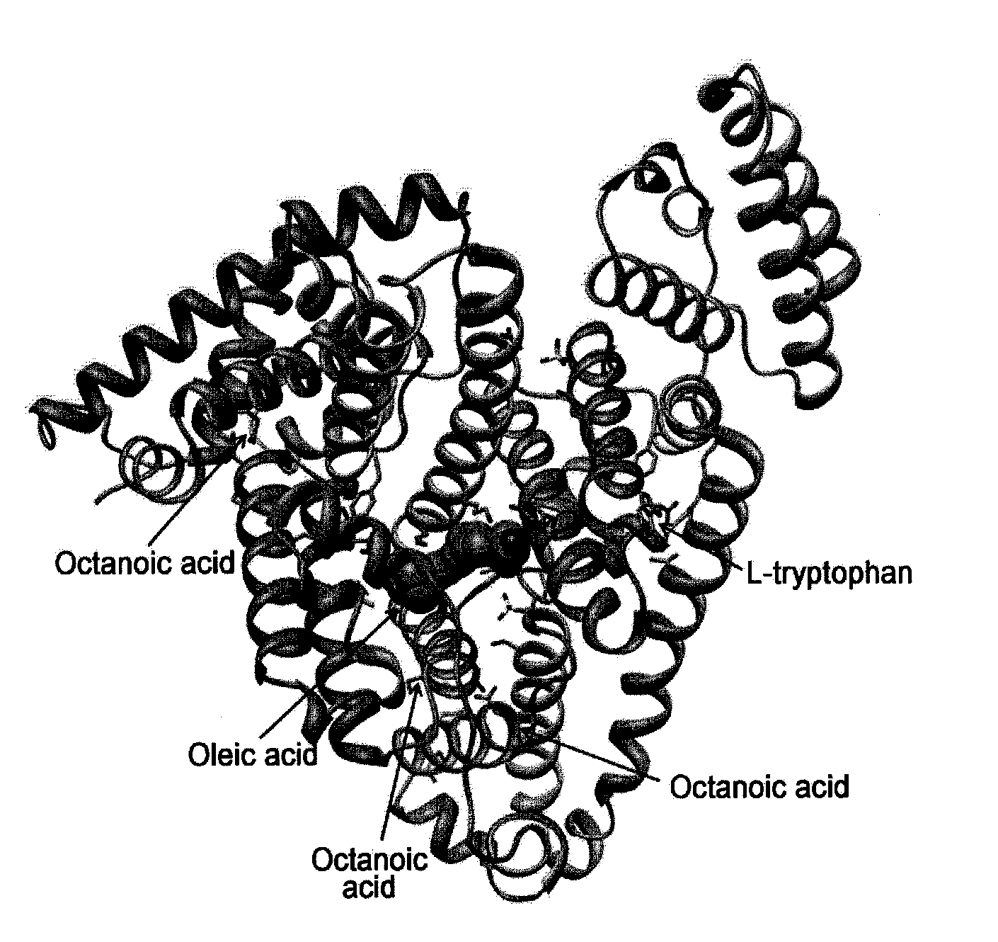 Composition for thermostabilization of human serum albumin and method of preparing thermally stabilized human serum albumin using the same