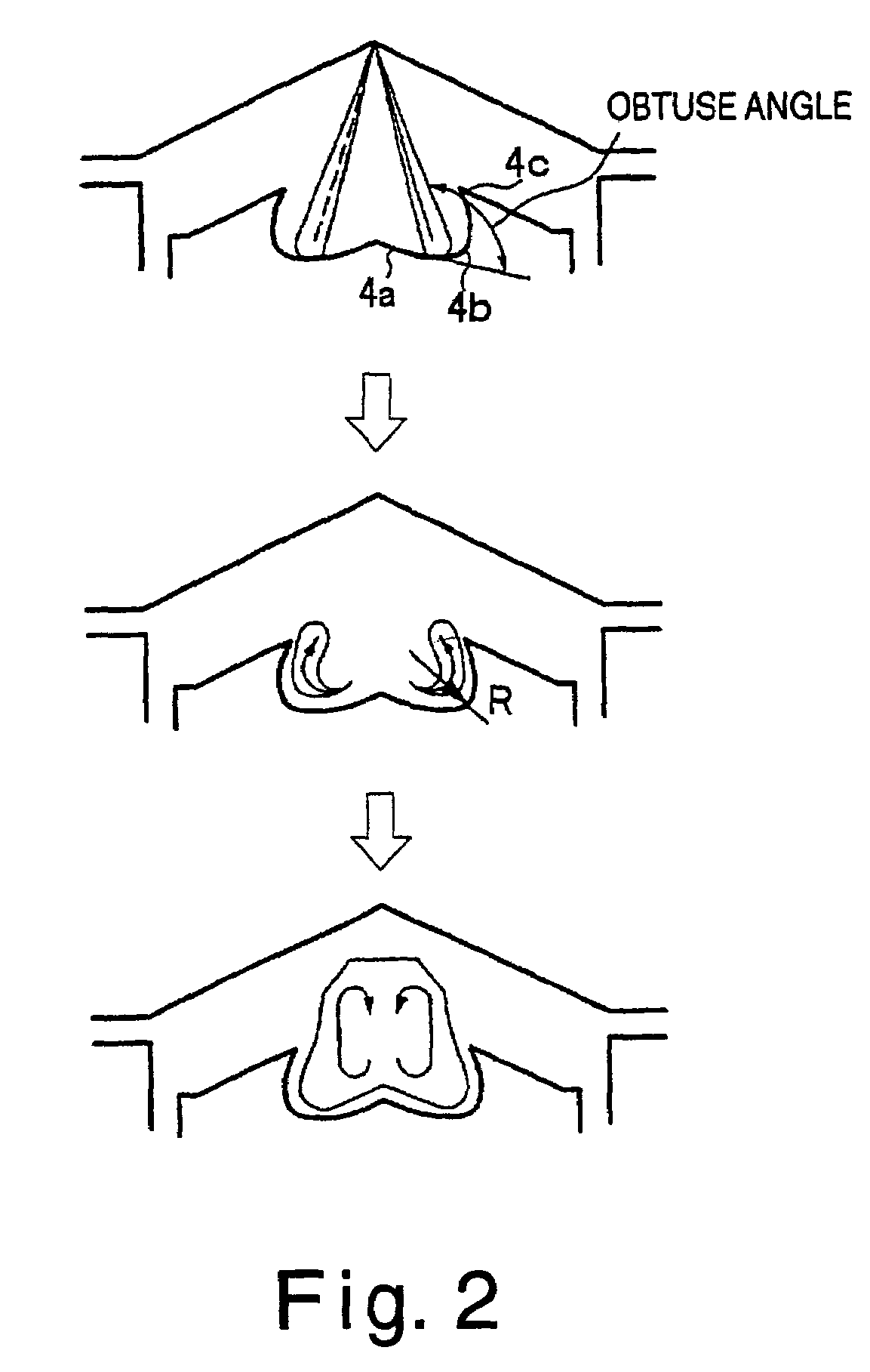 Direct fuel injection engine