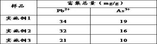 Preparation method of composite biochar for preventing and controlling heavy metal pollution