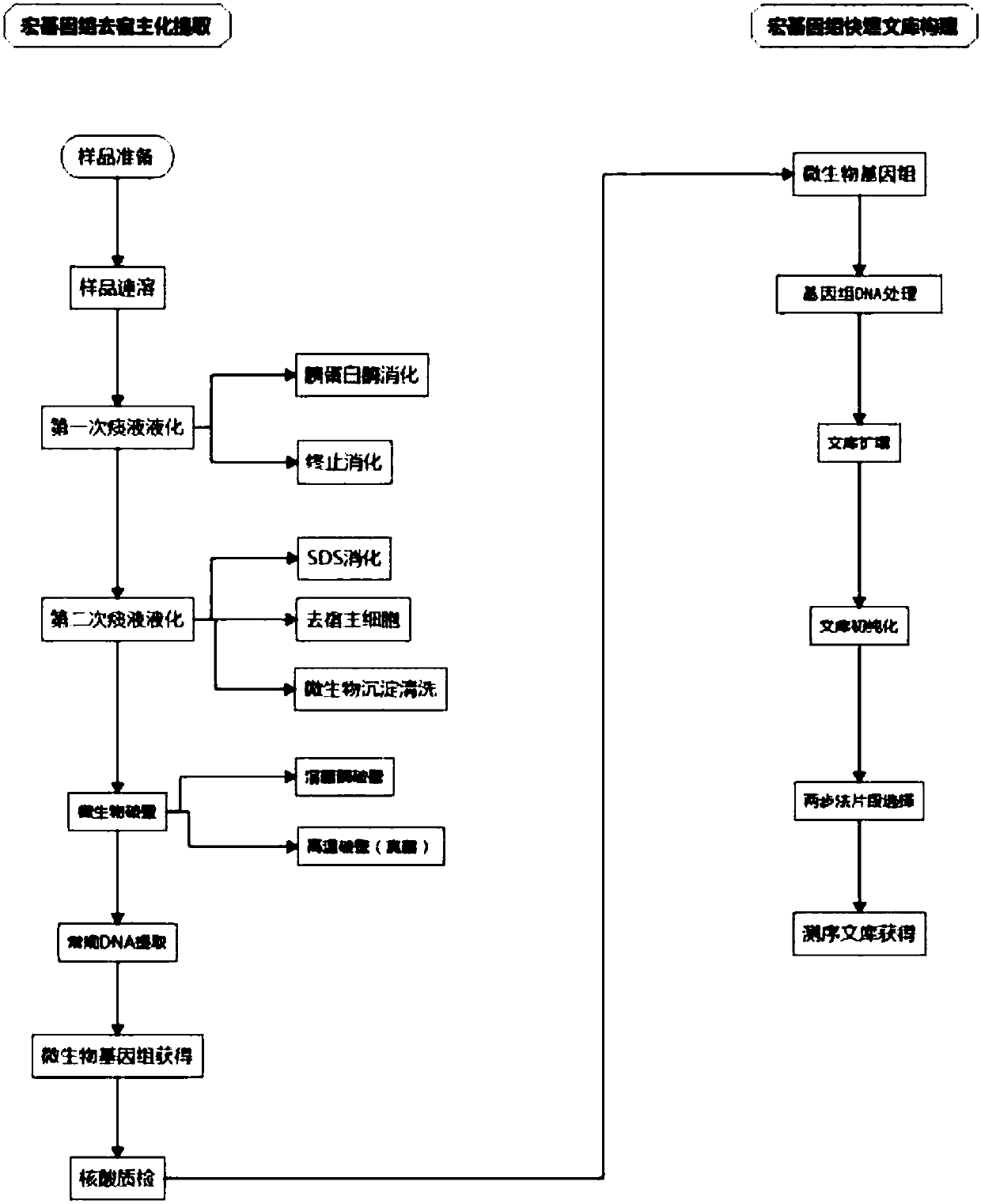 Host removal extraction and database building method for sputum microorganism metagenome