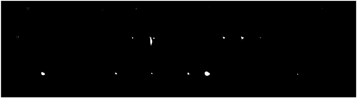 Host removal extraction and database building method for sputum microorganism metagenome