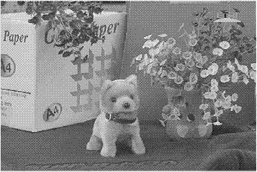 Blind watermark embedding and extracting method of stereoscopic video image