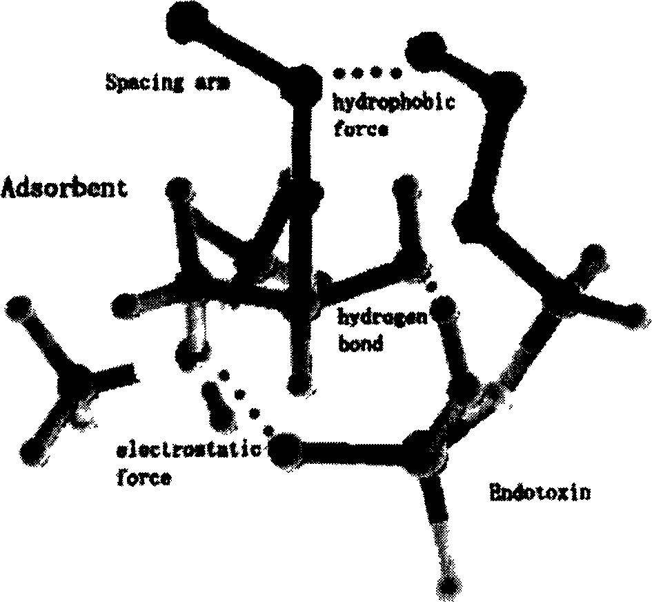 Endotoxin adsorbing agent and preparing method thereof