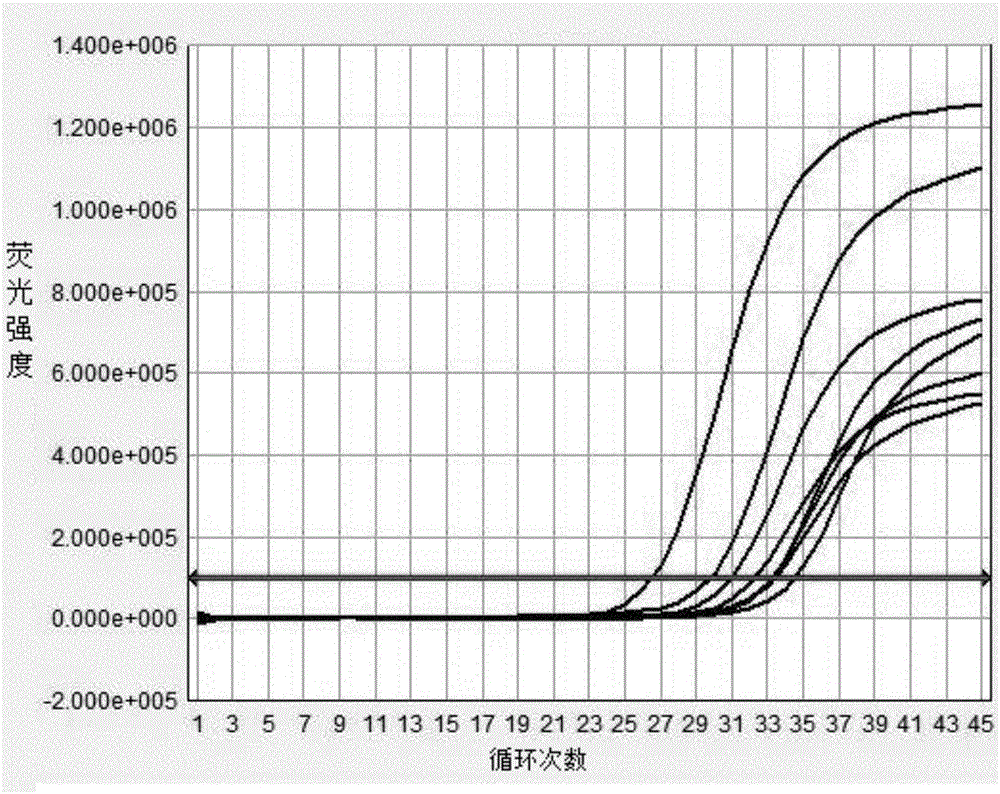 Polymerase chain reaction enhancing method