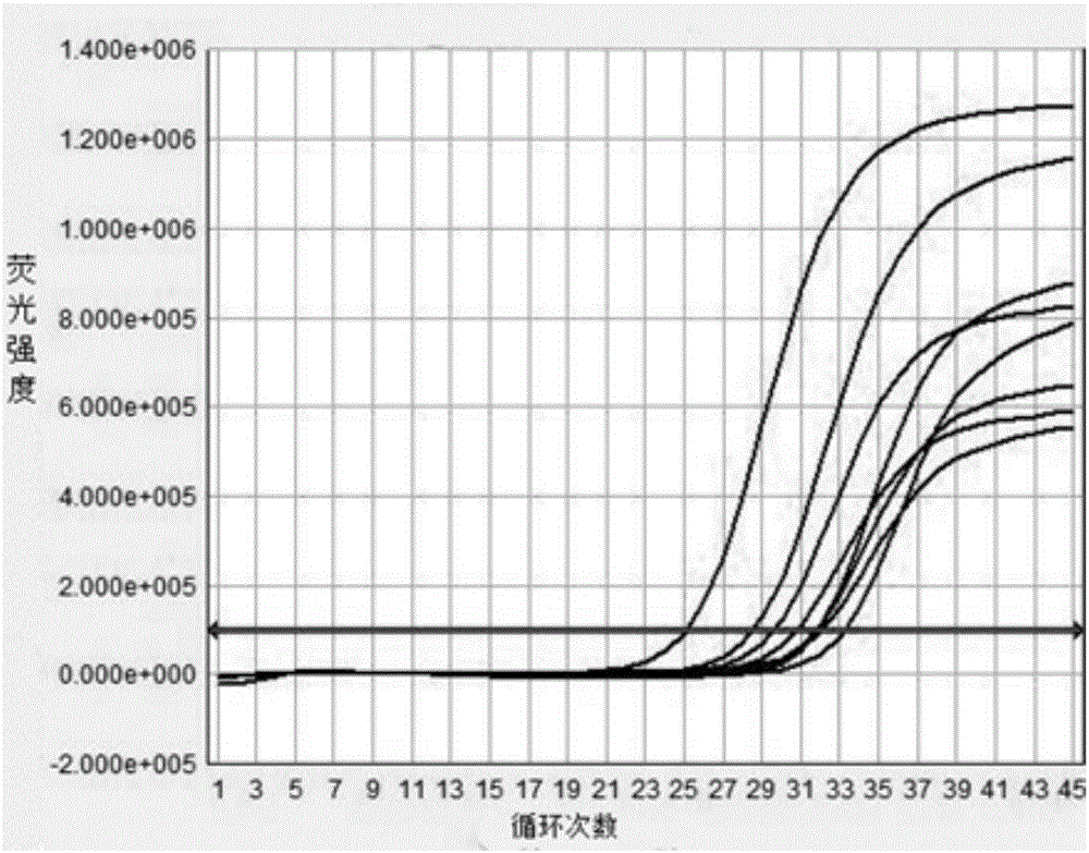 Polymerase chain reaction enhancing method