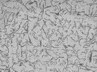 Cylinder sleeve and surface treatment method of inner hole of cylinder sleeve