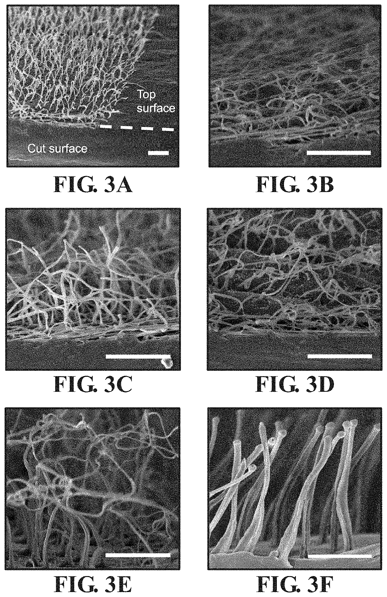 Biomimetic cell culture substrates