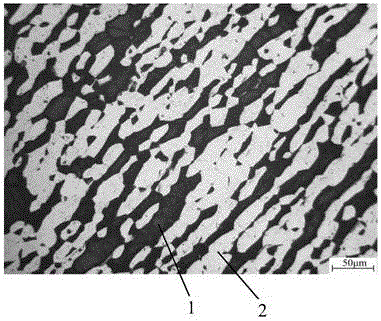 High-carbon high-chromium duplex stainless steel