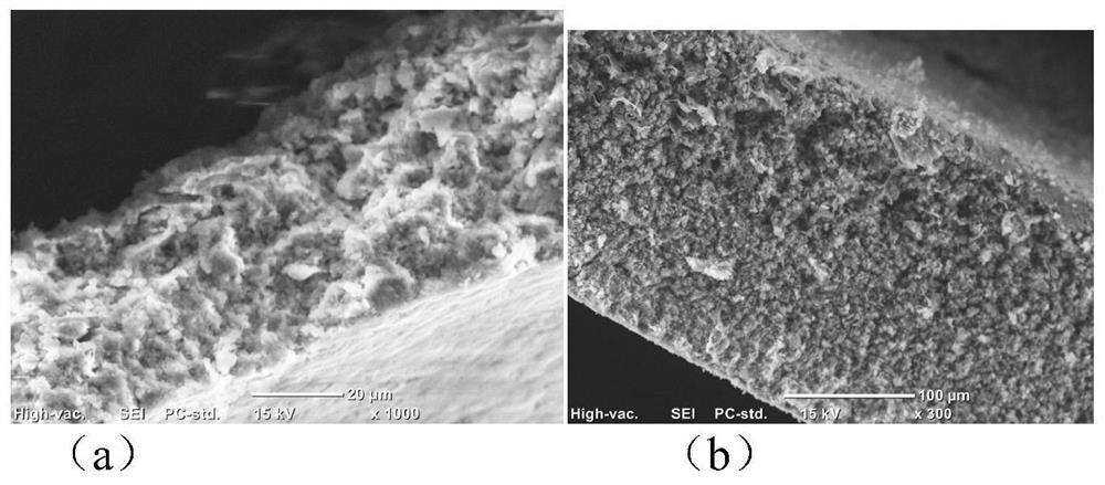 A negative electrode of metal lithium secondary battery and application thereof