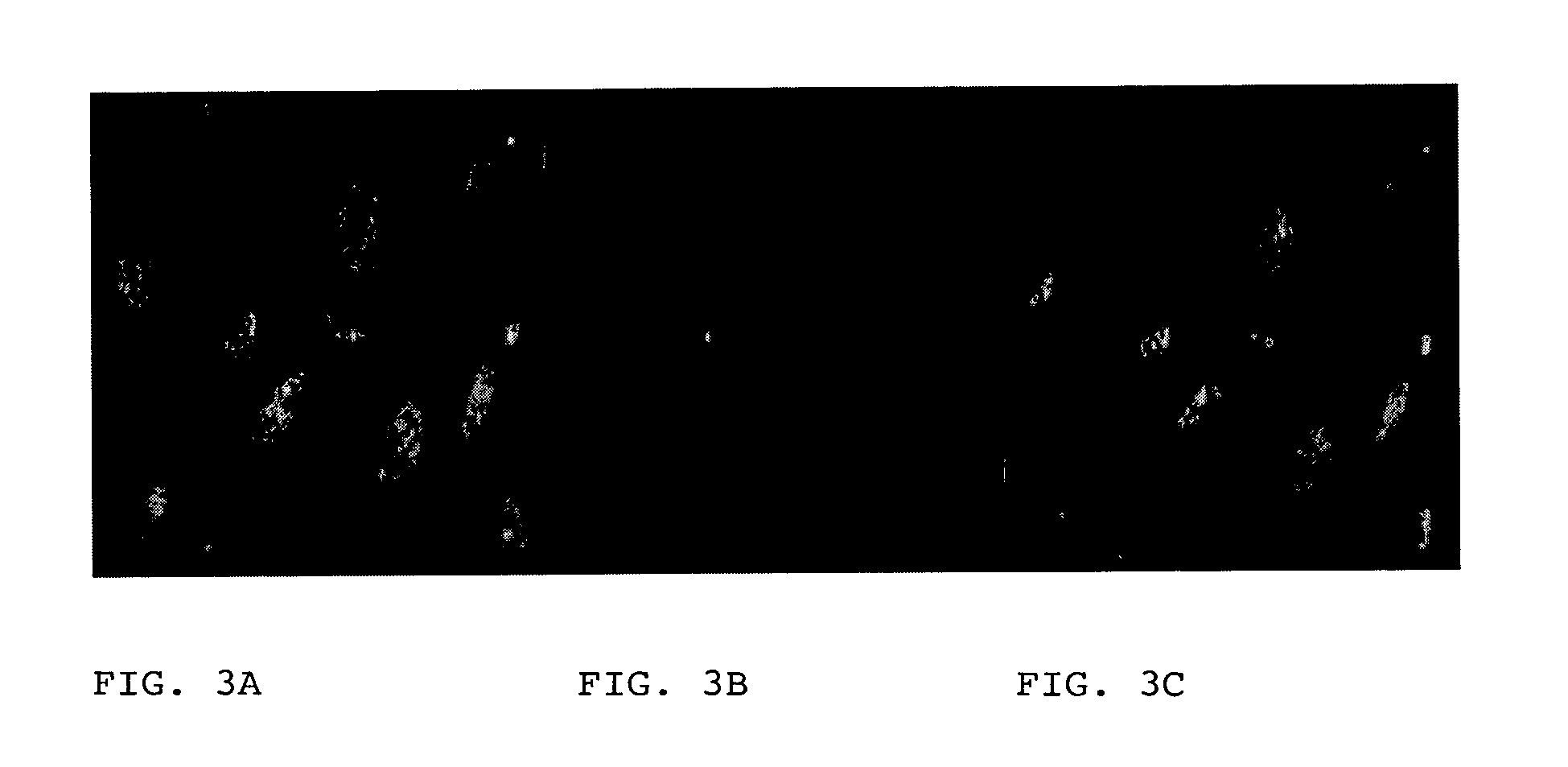 Agonist polypeptide of receptor for Zot and Zonulin