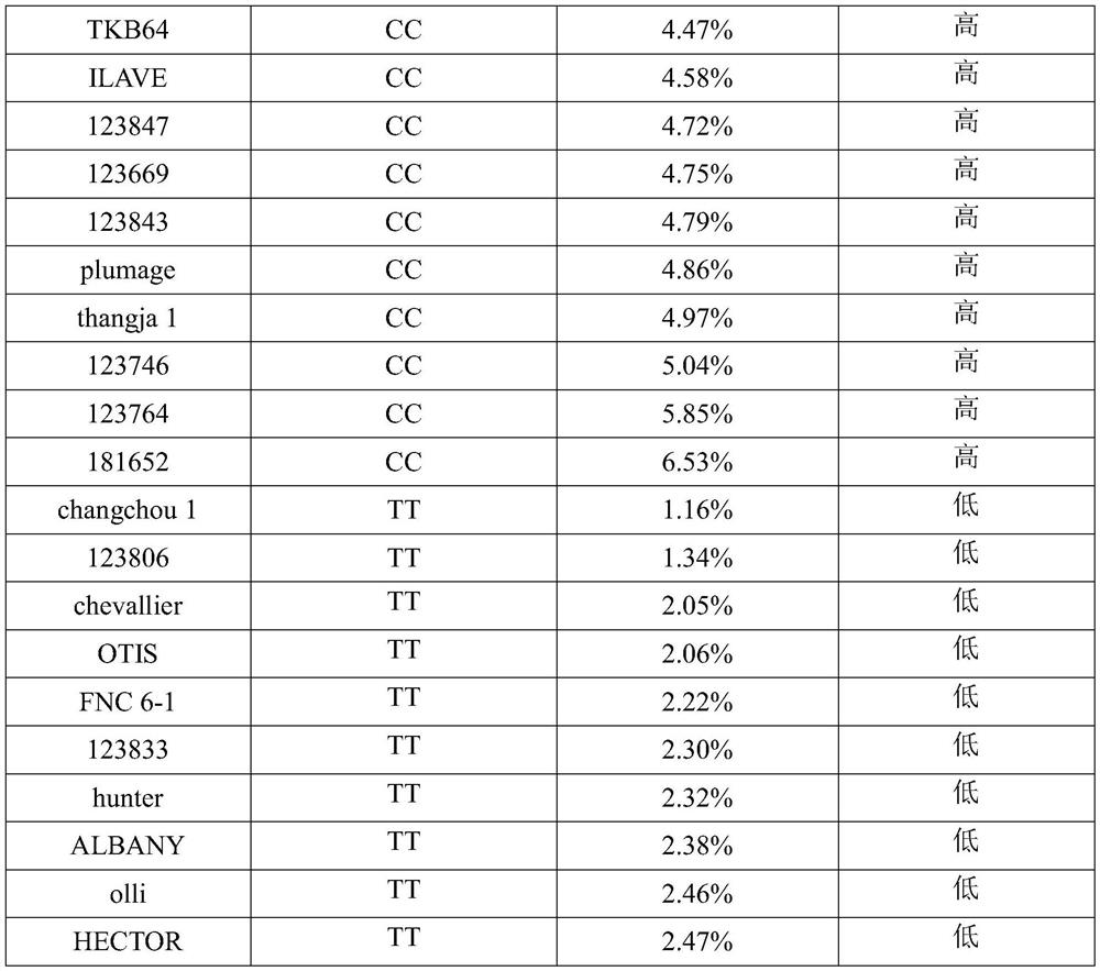 SNP molecular markers related to barley grain β-glucan content and their application