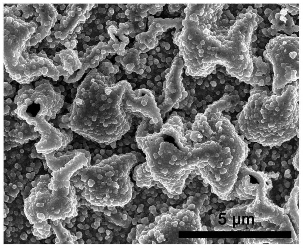 Dual-carrier modified ternary alloy nano-cavity catalyst as well as preparation method and application thereof