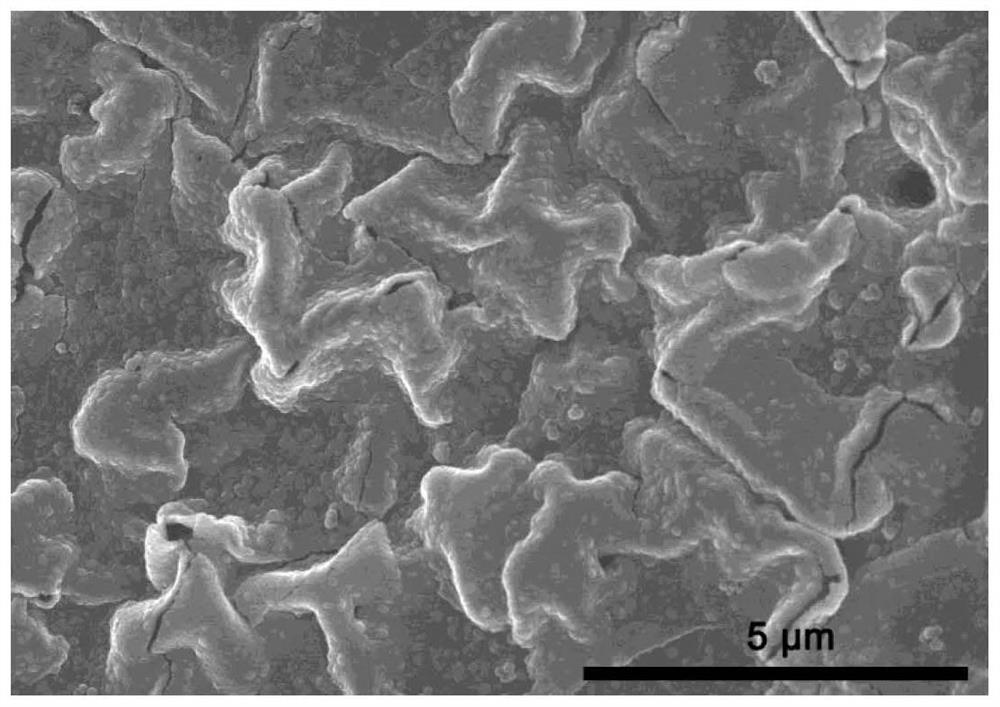 Dual-carrier modified ternary alloy nano-cavity catalyst as well as preparation method and application thereof