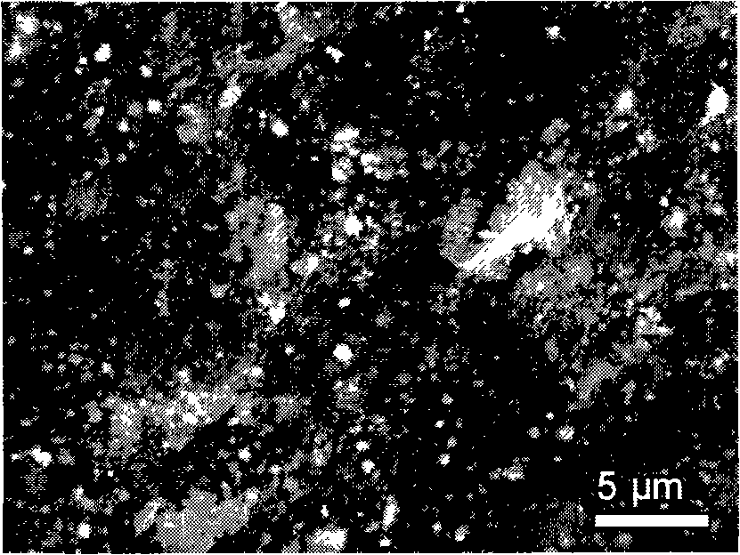 Method for preparing cathode material for high capacity lithium ion battery