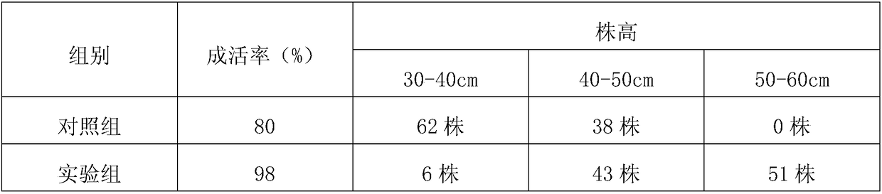 Soil formula for litchi breeding