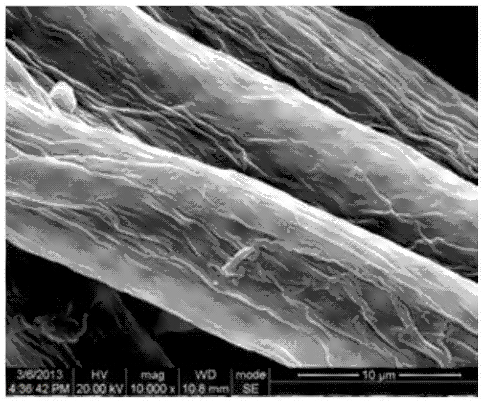 Hyperbranched Modification Method of Cellulose Nanofibers