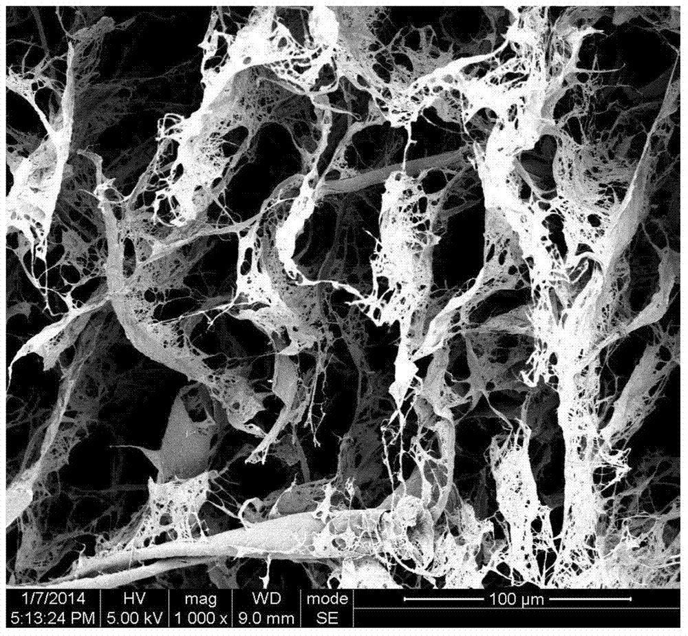 Hyperbranched Modification Method of Cellulose Nanofibers