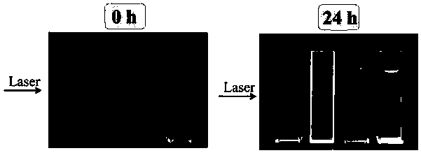 Gadolinium-doped monolayer hydrotalcite used for drug loading, preparation method thereof, anti-cancer drug and preparation method thereof