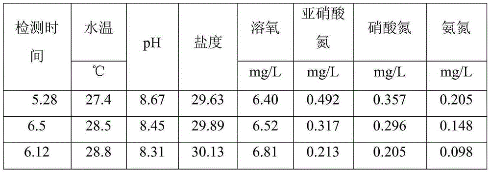 Seawater circulation culture system with circulation water treatment