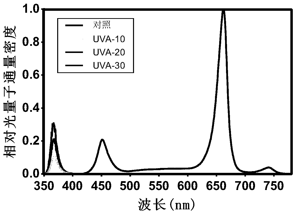 Method for improving yield and quality of leafy vegetables in plant factory through low-dosage long-wave ultraviolet light