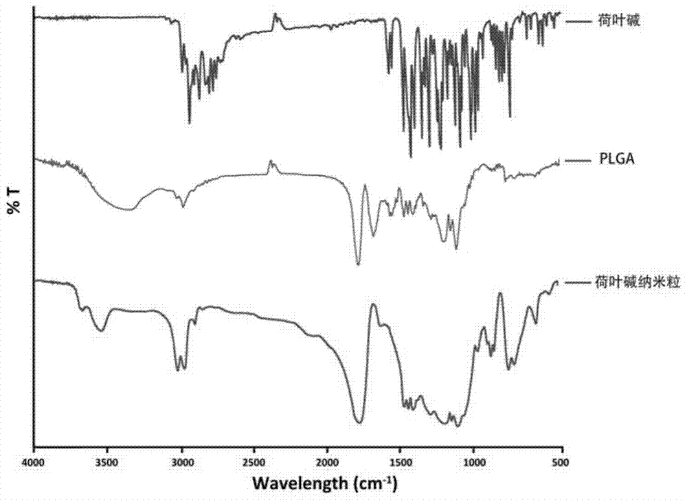 A kind of oral nano drug delivery system of nuciferine and its preparation method