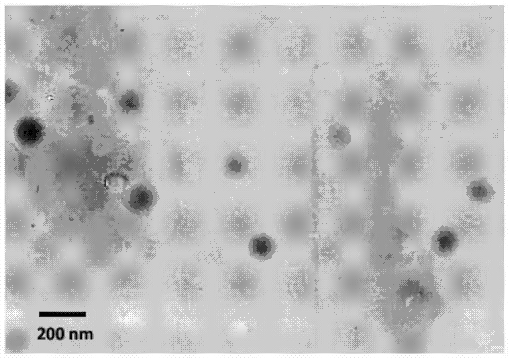 A kind of oral nano drug delivery system of nuciferine and its preparation method